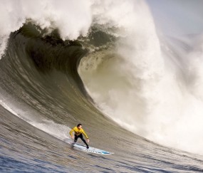 开云在线赛事平台-绿茵场与硬木地板的交响，德甲争冠焦点战与森林狼得分狂潮的双重奏