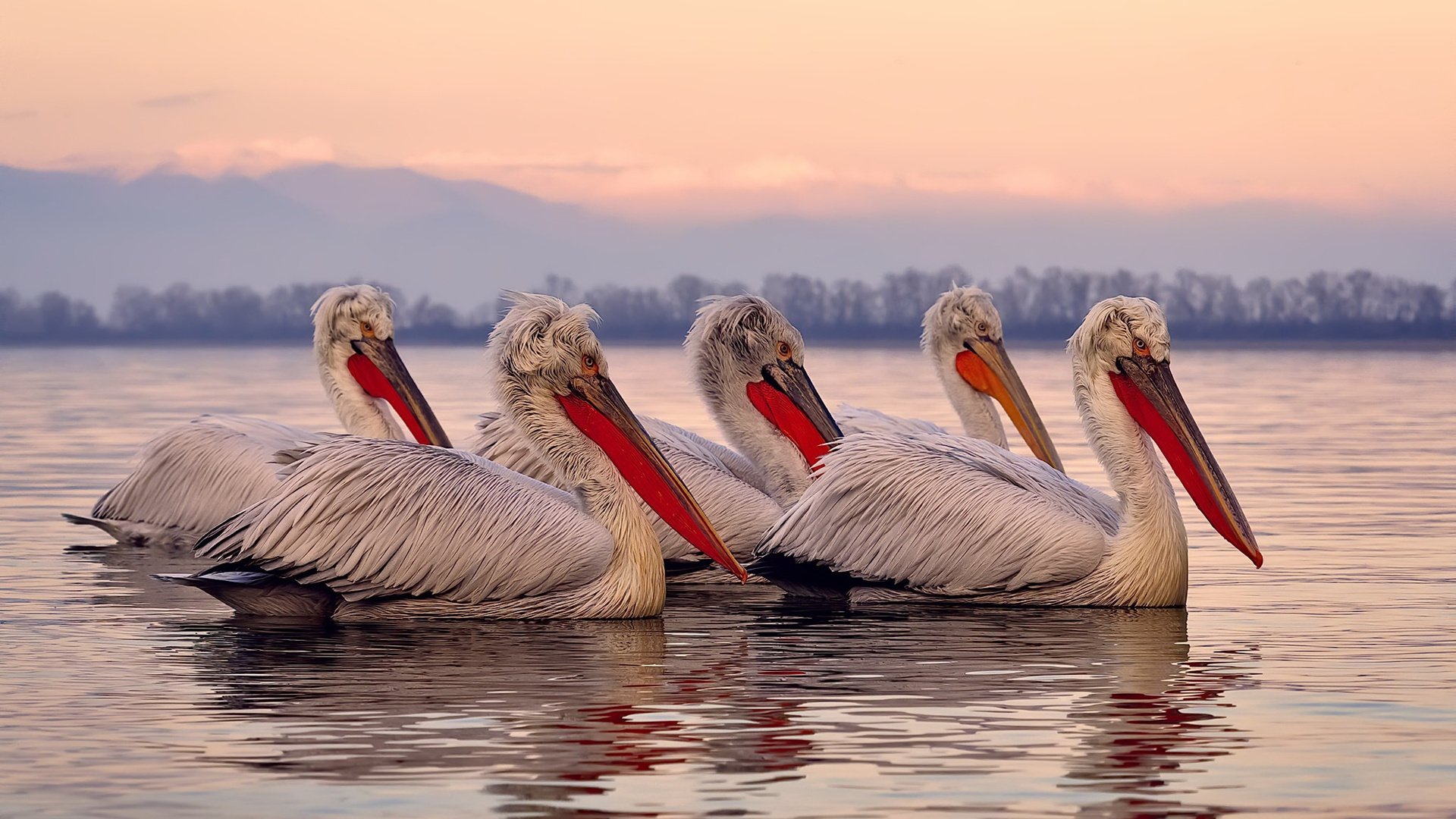 保罗末节导演悬念终结，凯尔特人铁血防守锁死掘金卫冕之路