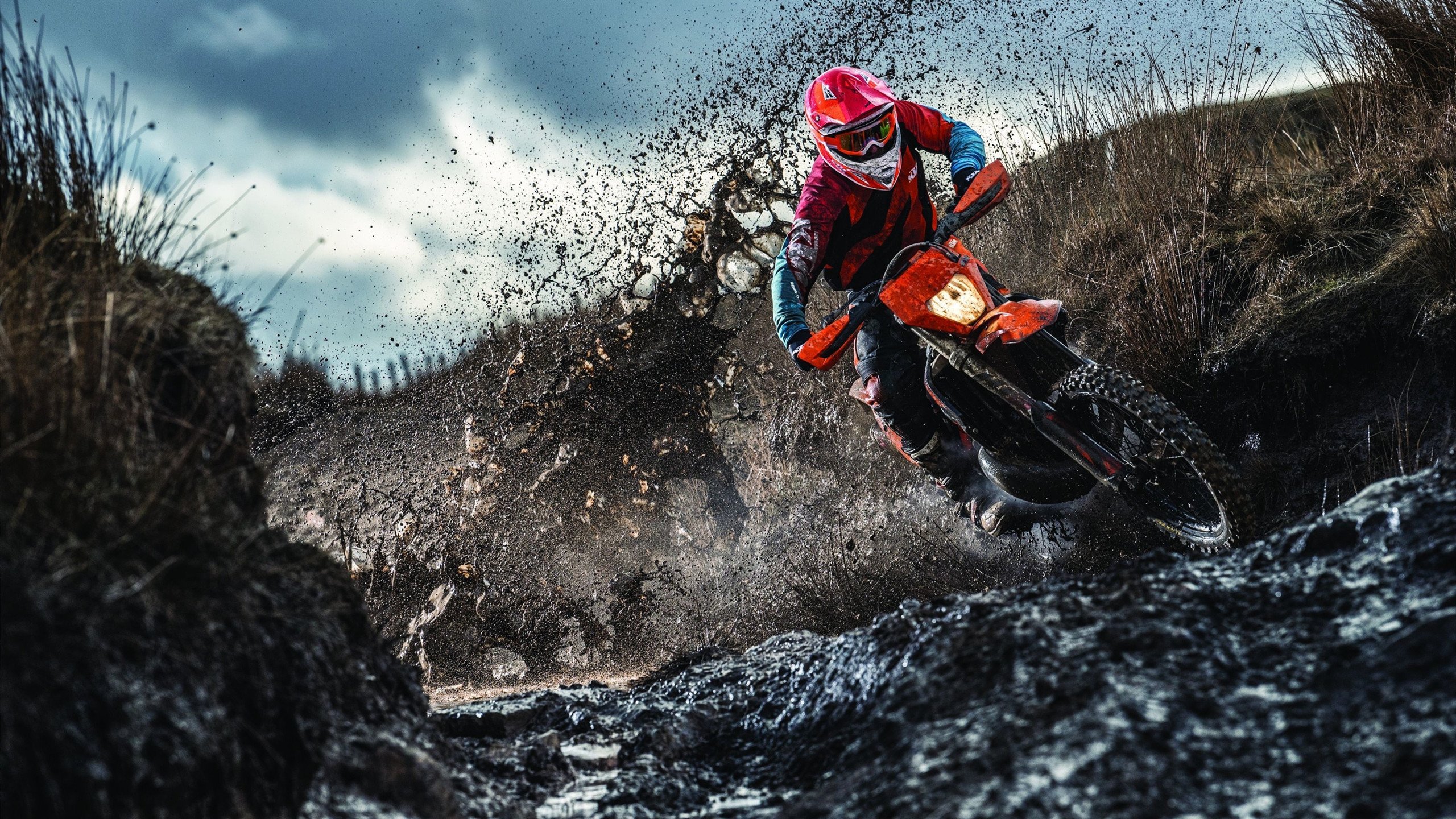 从碾压到惊艳,美韩半导体之争与布鲁诺的破局启示