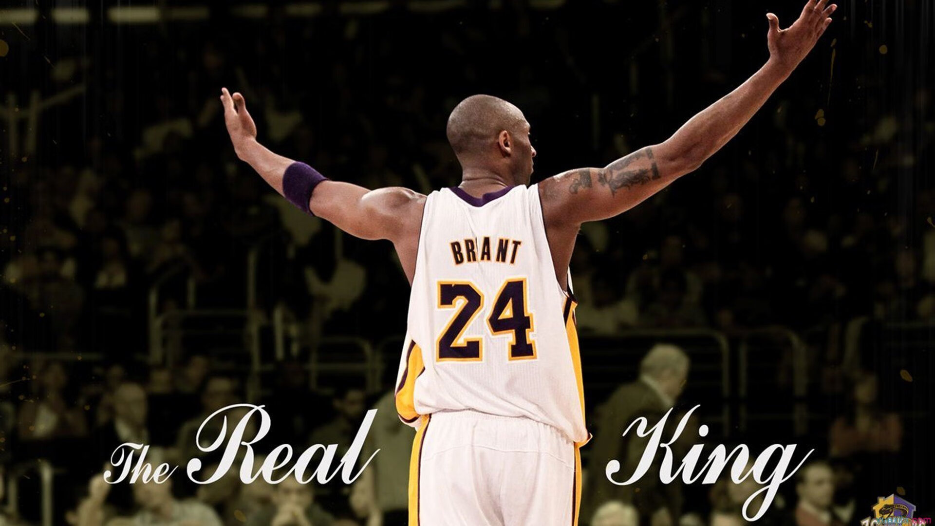 魔术铁壁,一场防守教科书如何锁死尼克斯的季后赛狂飙